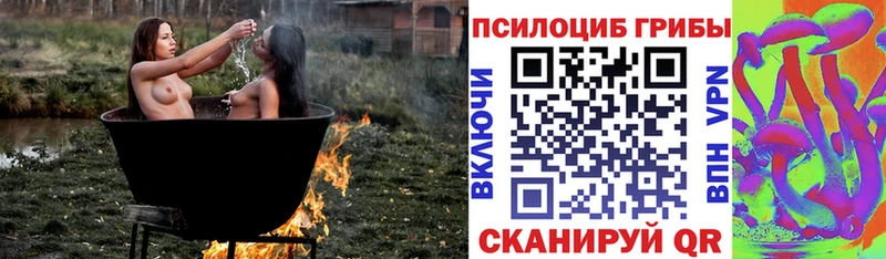 Псилоцибиновые грибы Magic Shrooms  Купить закладки  Бологое 