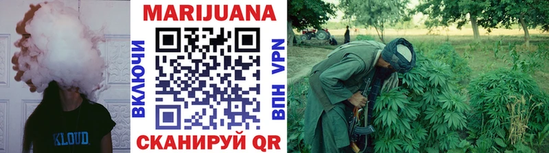 Шишки марихуана Amnesia  Купить  Бологое 